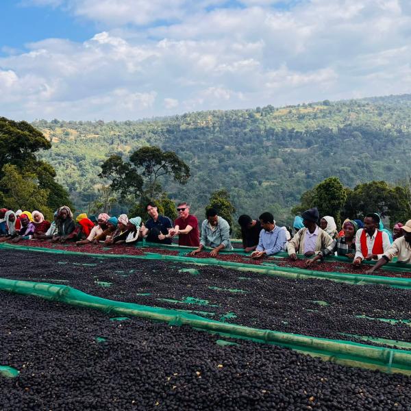 Traceable Shipments: Farm to Buyer Documentation